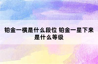 铂金一横是什么段位 铂金一星下来是什么等级